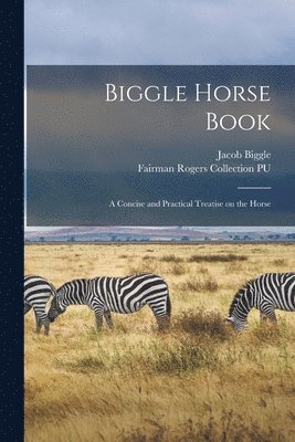 bokomslag Biggle Horse Book