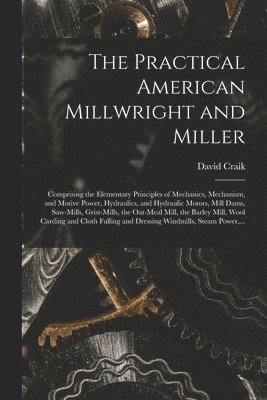 bokomslag The Practical American Millwright and Miller