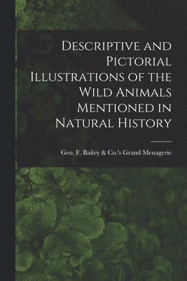 bokomslag Descriptive and Pictorial Illustrations of the Wild Animals Mentioned in Natural History