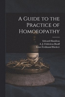 Edward 1824-1899 Hamilton, Ernst Ferdinand 1795-1843 Rückert - Guide to the Practice of Homoeopathy, Häftad