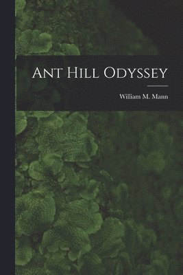 Ant Hill Odyssey 1