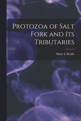 Marie L Waldo, Marie L. Waldo - Protozoa of Salt Fork and Its Tributaries, Häftad