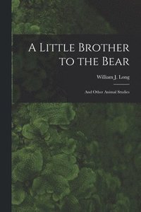 bokomslag A Little Brother to the Bear [microform]