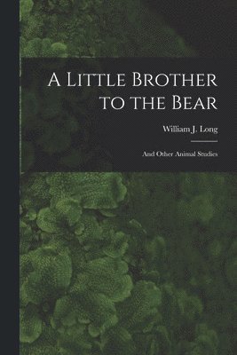 bokomslag Little Brother to the Bear [microform]