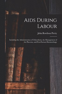 bokomslag Aids During Labour