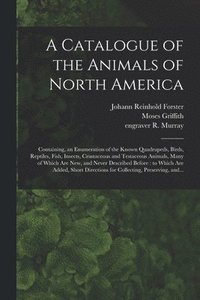 bokomslag A Catalogue of the Animals of North America