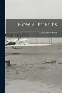bokomslag How a Jet Flies