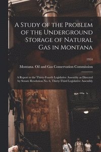 bokomslag A Study of the Problem of the Underground Storage of Natural Gas in Montana; a Report to the Thirty-fourth Legislative Assembly as Directed by Senate