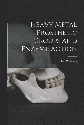 Otto Warburg - Heavy Metal Prosthetic Groups And Enzyme Action, Häftad