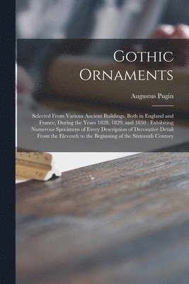 bokomslag Gothic Ornaments