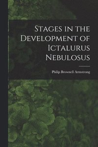 bokomslag Stages in the Development of Ictalurus Nebulosus
