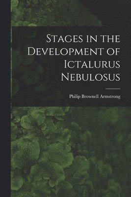 bokomslag Stages in the Development of Ictalurus Nebulosus