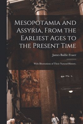 bokomslag Mesopotamia and Assyria, From the Earliest Ages to the Present Time; With Illustrations of Their Natural History.