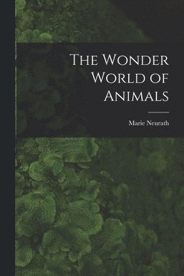 The Wonder World of Animals 1
