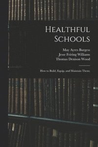 bokomslag Healthful Schools