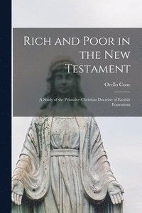 bokomslag Rich and Poor in the New Testament