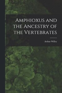 bokomslag Amphioxus and the Ancestry of the Vertebrates [microform]