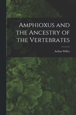 Arthur 1867-1942 Willey, Arthur Willey - Amphioxus and the Ancestry of the Vertebrates [microform], Häftad