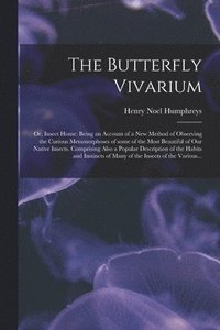 bokomslag The Butterfly Vivarium