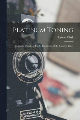 bokomslag Platinum Toning