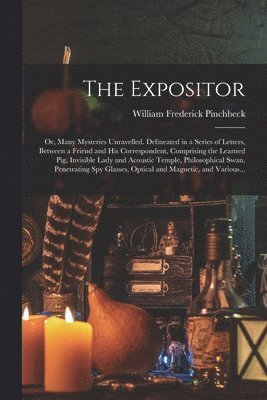 bokomslag The Expositor; or, Many Mysteries Unravelled. Delineated in a Series of Letters, Between a Friend and His Correspondent, Comprising the Learned Pig, Invisible Lady and Acoustic Temple, Philosophical