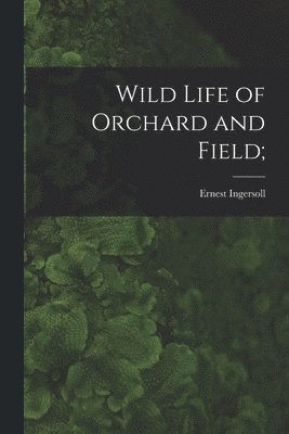 bokomslag Wild Life of Orchard and Field;