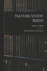 bokomslag Nature Study Birds