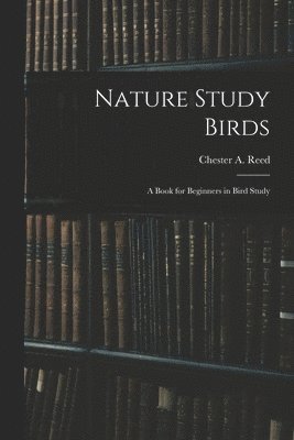 bokomslag Nature Study Birds