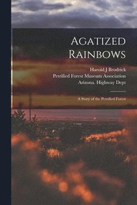 bokomslag Agatized Rainbows: a Story of the Petrified Forest
