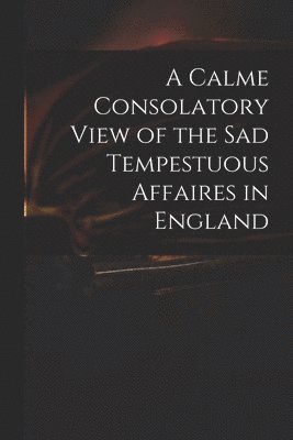 bokomslag A Calme Consolatory View of the Sad Tempestuous Affaires in England