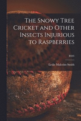 bokomslag The Snowy Tree Cricket and Other Insects Injurious to Raspberries; B505