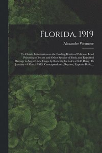 bokomslag Florida, 1919