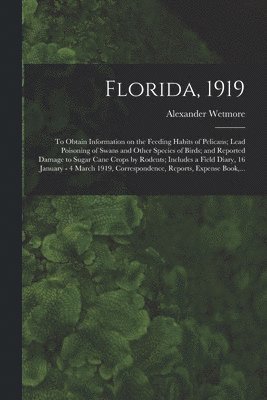 bokomslag Florida, 1919