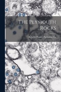 bokomslag Plymouth Rocks