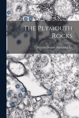 bokomslag Plymouth Rocks