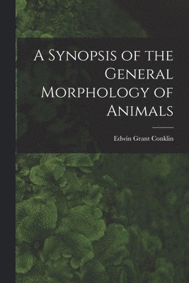 Edwin Grant 1863-1952 Conklin, Edwin Grant Conklin - A Synopsis of the General Morphology of Animals, Häftad