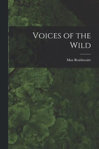 bokomslag Voices of the Wild