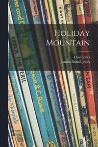 bokomslag Holiday Mountain