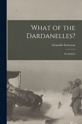 bokomslag What of the Dardanelles? [microform]