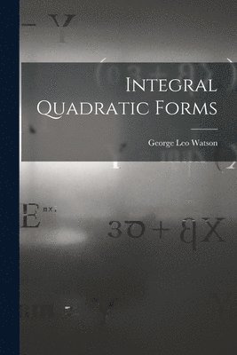 Integral Quadratic Forms 1