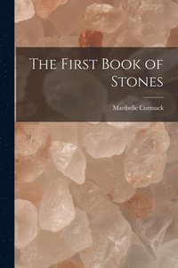 bokomslag The First Book of Stones