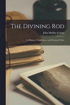 bokomslag The Divining Rod