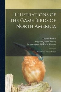 bokomslag Illustrations of the Game Birds of North America