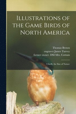 Illustrations of the Game Birds of North America 1