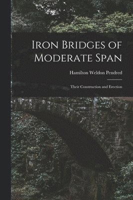 bokomslag Iron Bridges of Moderate Span