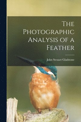 The Photographic Analysis of a Feather 1