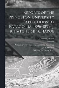 bokomslag Reports of the Princeton University Expeditions to Patagonia, 1896-1899. J. B. Hatcher in Charge; v. 5 plates (1903-05)