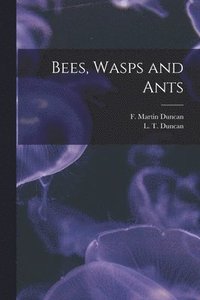 bokomslag Bees, Wasps and Ants