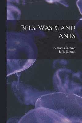 Bees, Wasps and Ants 1