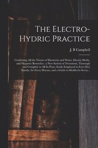 bokomslag The Electro-hydric Practice